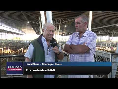 REALIDAD GANADERA - Luis Biaus (21-02-25)