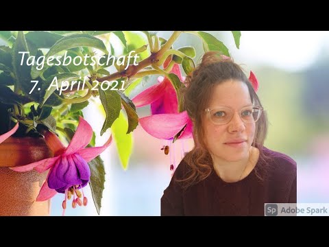 Tagesbotschaft 7. April 2021