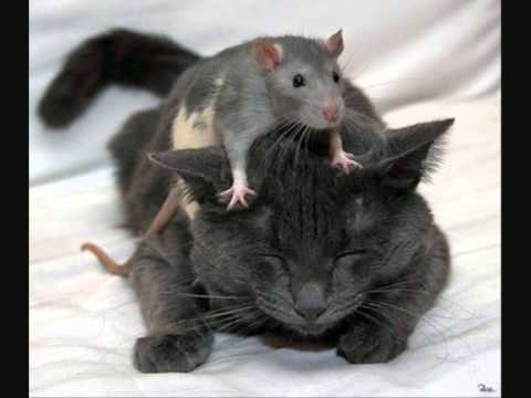 We de das nid eifach Liebi isch...