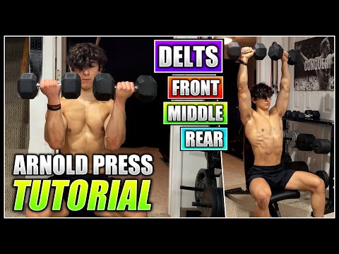 How to do the SEATED DUMBBELL ARNOLD PRESS! | 2 Minute Tutorial