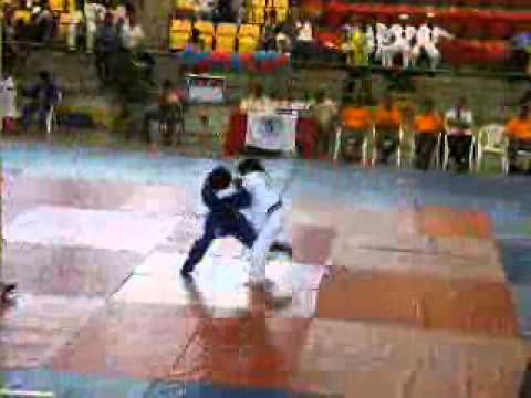 judo panamericain