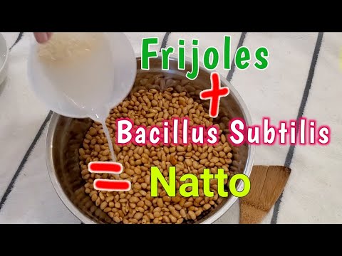 Cómo hacer un super alimento "Natto" en casa.