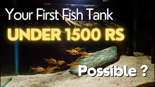 Fish Keeping Hobby Expensive ? Saste main apka 1st fish tank Built kare .