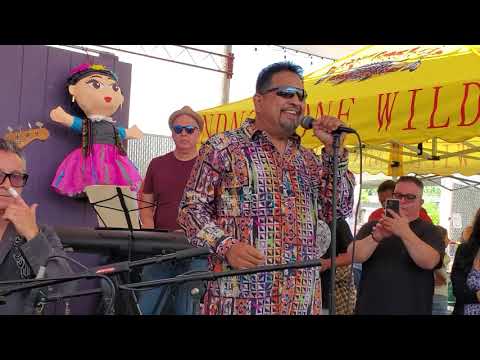 Everlasting Night by Momotombo - Berryessa Flea Market 7-3-2021