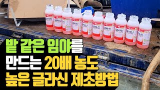 밭 같은 임야를 만드는 20배 농도 높은 글라신 제초…