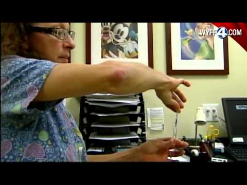 WYFF News 4 at 6: November 29, 2012