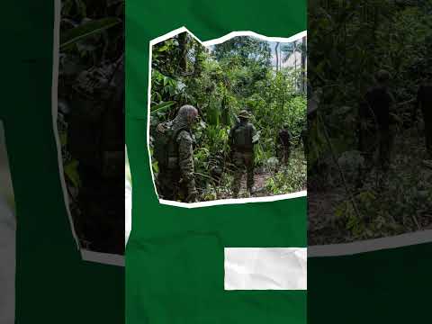 35 Anos Ibama Ekos Brasil