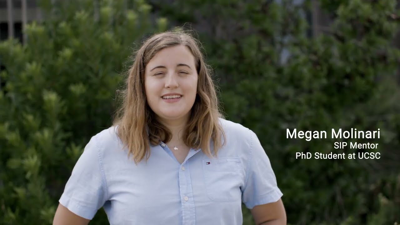 SIP 2023 Visual Story