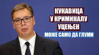 Download lagu Зашто Вучић не сме и не може да се супротстави? mp3