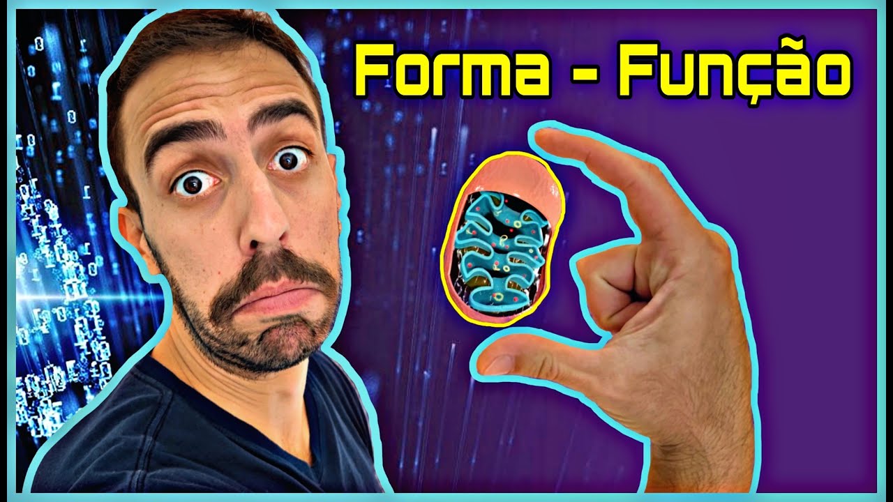 Mitocondrias - São elas que matam a célula?