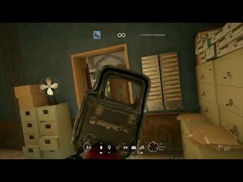 Rainbow Six Siege Year of the Ox Universal WeaponSkin Gameplay