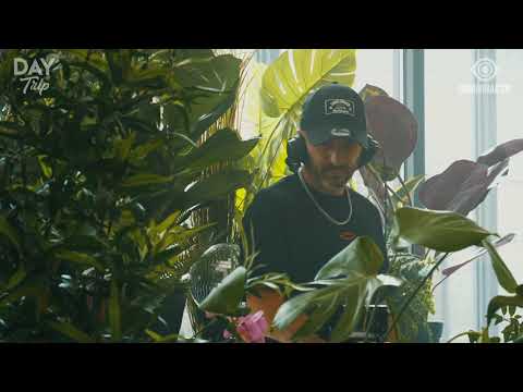 Martin Ikin for Day Trip Livestream (September 6, 2020)