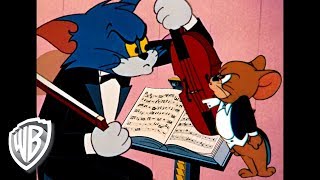Tom und Jerry auf Deutsch | Musik ab! | WB Kids