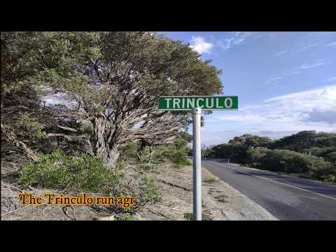 Visiting the Trinculo Shipwreck on the 90 Mile Beach