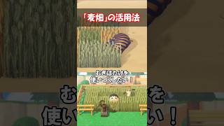 麦畑を活用したい！ 【あつ森】@ほのげ