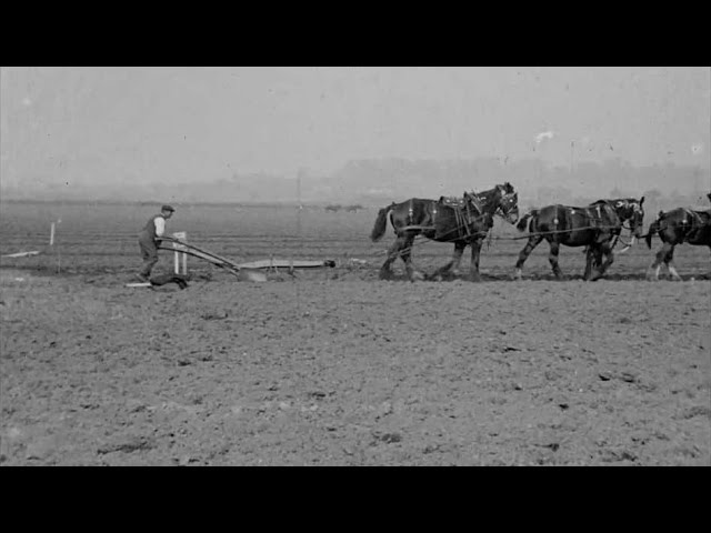 Sons of the Soil (1915)