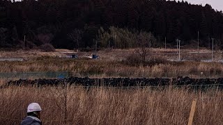 Japan gedenkt 15. Jahrestag von Beben, Tsunami und Fukushima-Katastrophe
