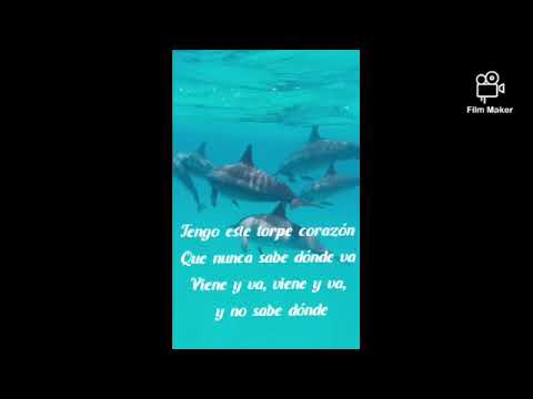 Torpe Corazón- Kike Pavón ft Ander Bock. (LETRA)