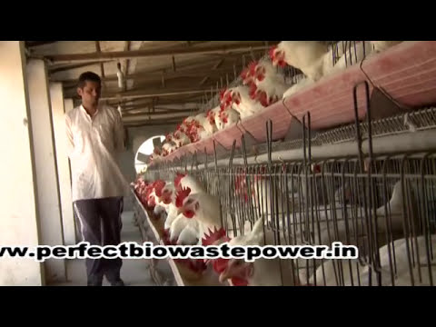 World Bank documentary on Perfect Biogas Jhajjar plant