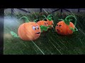 My Favourite Spookily The Squared Pumpkin Scene