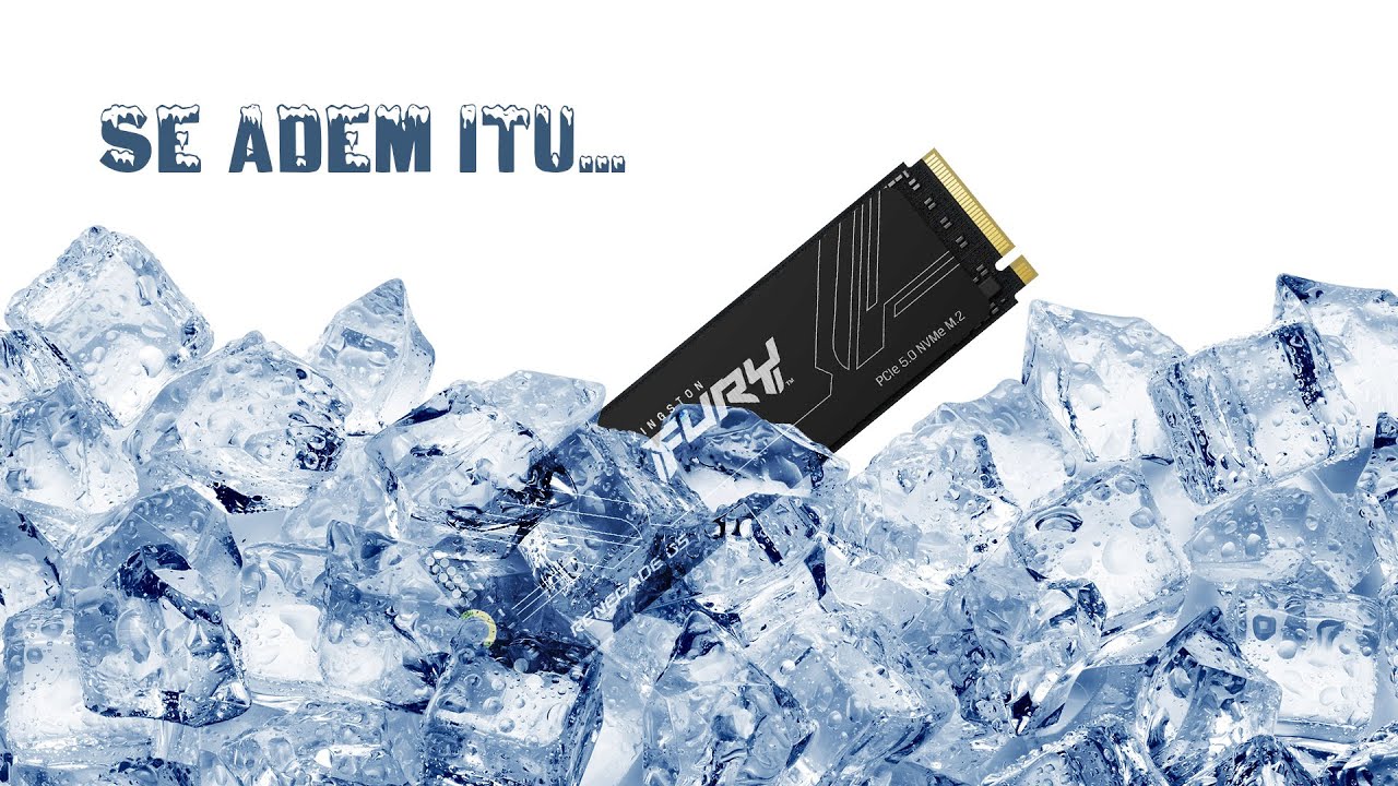 PALING ADEM | SSD NVMe Gen 5 Paling Adem | Kingston Fury Renegade G5