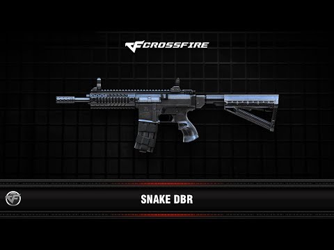 CF : Snake DBR
