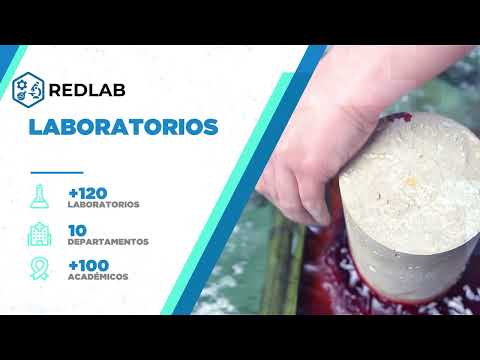 Carátula del video de presentación de REDLAB