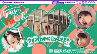 [乃木] 配信中 与田祐希見袋熊