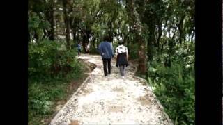 preview picture of video 'Visitando o Bosque de Pinhais-PR / Walking in city park of Pinhais-PR'