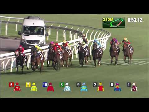 5/5/2021 (647) Exuberant - Z Purton