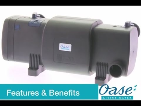 Watch Video on YouTube