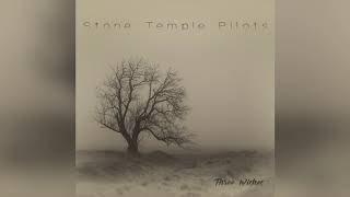 Musik-Video-Miniaturansicht zu Three Wishes Songtext von Stone Temple Pilots