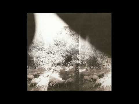 Piss Crowns Are Trebled - Godspeed You! Black Emperor