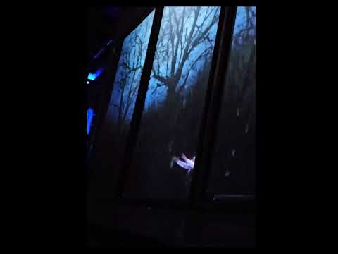 Azer Zada - "Torna ai felici dì" - Le villi, Puccini