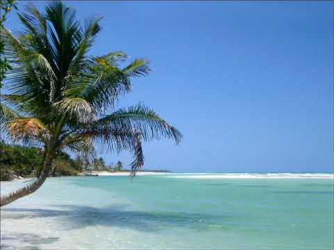 Black Wings Project   Are U Ready Original Mix