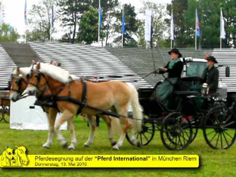 Pferdesegnung "Pferd International" München Riem 2010