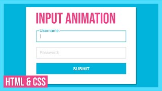 Beautiful Input Animation Using HTML  CSS