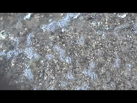 Jaina playing at the beach!!