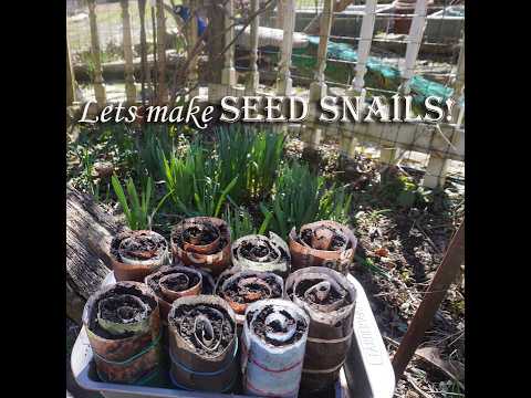 Bonus Video for my garden friends: Let's make SEED SNAILS!