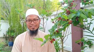 Download lagu #Quran Ubah Hidup | Surah At-Taubah ayat 51 by Ustaz Hairuddin Othman mp3