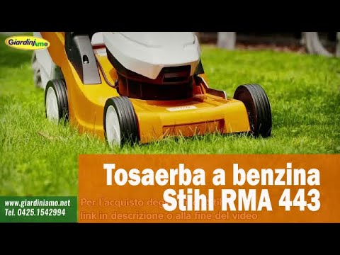 Miniatura Video