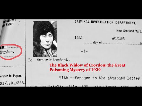The Black Widow of Croydon: the Great Poisoning Mystery of 1929 by Mark John Maguire