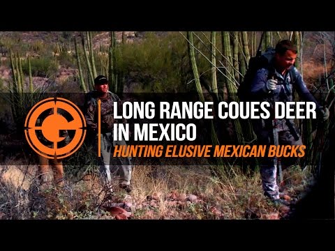 LRP Highlights | S3 E17 Long Range Coues Deer in Mexico