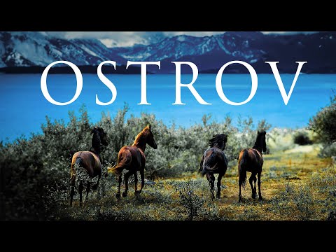 #TravelVlog: Decembrie pe insula cailor sălbatici - Ostrovul Moldova Veche!