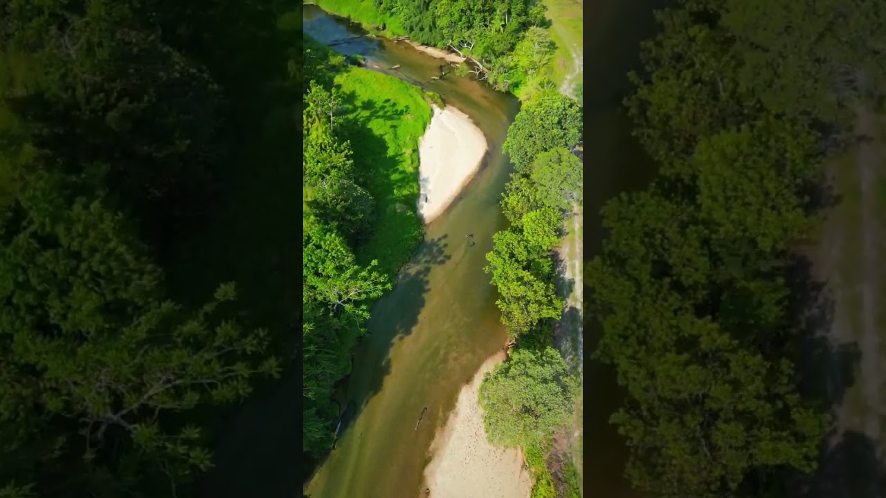 YouTube Short thumbnail