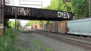 preview picture of video '[HD] CSX Train Q439 at Woodbourne'