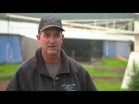 2018 AAD 09   Papaws Paint