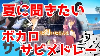 【全15曲】夏に聞きたいボカロメドレー【VOCALOID MEDLEY】