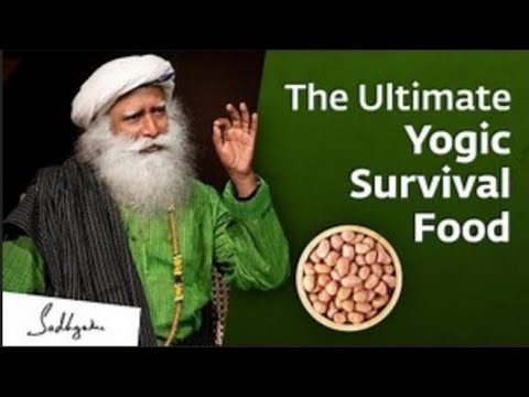 The Ultimate Survival Diet - The Yogic Superfood