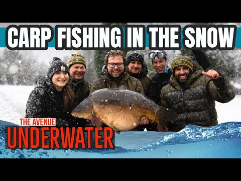 🤿 Underwater: Carp Fishing in the Snow ❄️ | Ali Hamidi | One More Cast